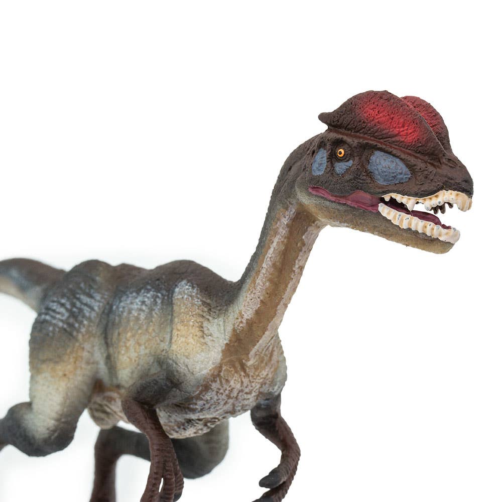 Safari Ltd. - Wholesale Figurine Toy - Kids - Dilophosaurus - 2878293