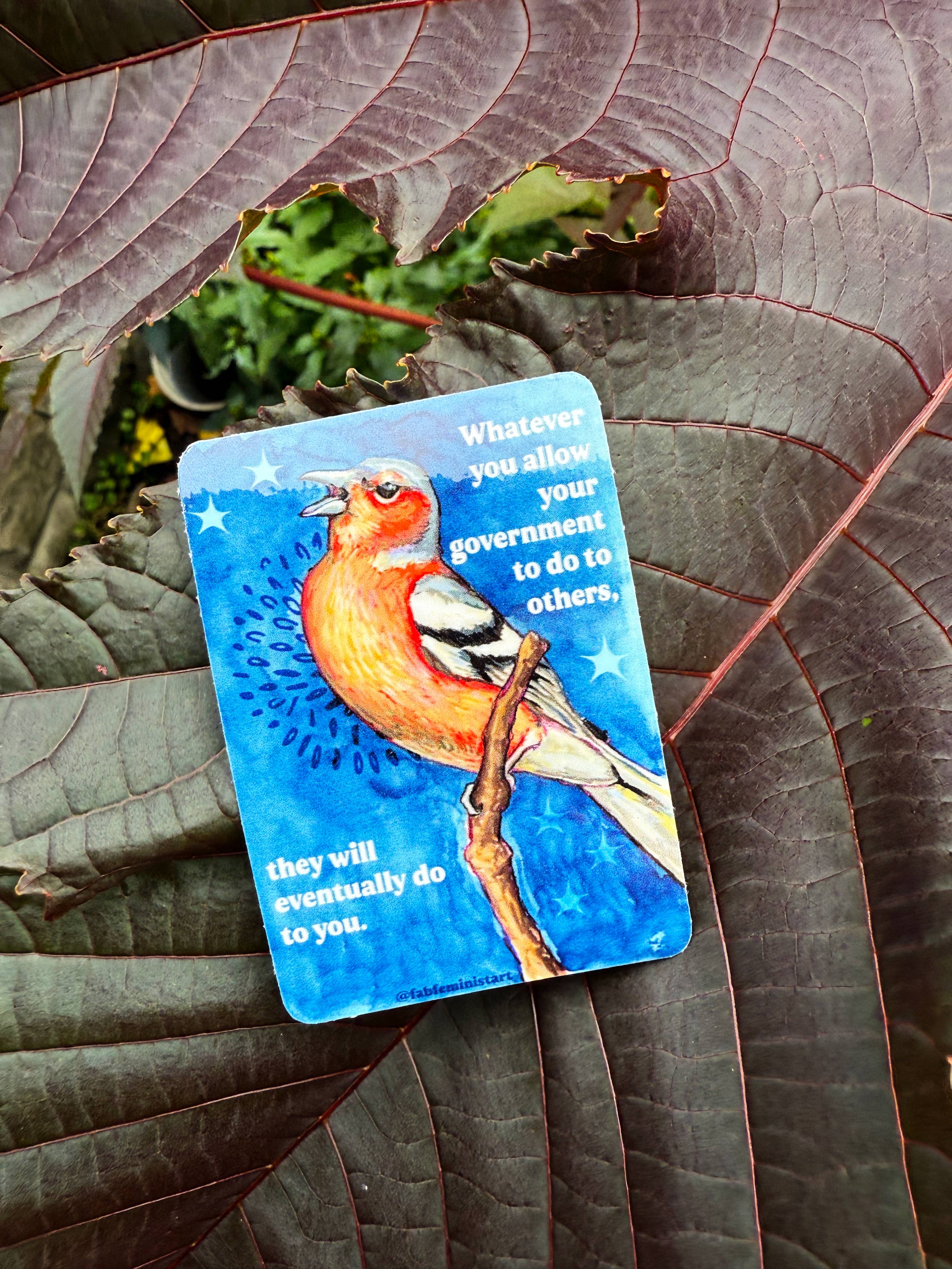 Fabulously Feminist - Wholesale Sticker - Whatever you allow your government to do to others: sticker8