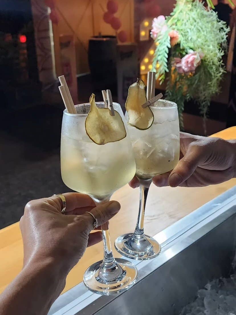 Cocktail Candy - Wholesale Dried/dehydrated fruit - Dehydrated Pears6