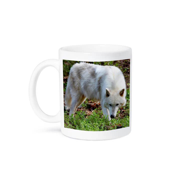 3dRose - Wholesale Coffee Mug - 3dRose, Female Gray Wolf A white colored female gray wolf, Mug8