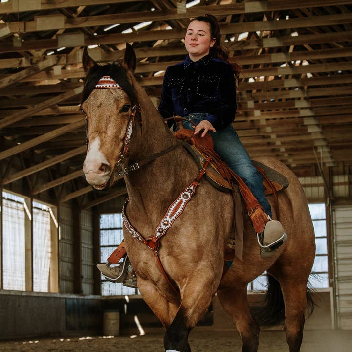 Doc Holiday set met hoofdstel en borstband en andere Frontriemen wholesale inkopen. Gratis retourzendingen en een 60-dagen netto betalingstermijn op Faire.com trends op Faire.