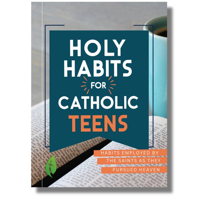 Catholic Sprouts LLC - Wholesale Religion Book - Holy Habits for Catholic Teens0