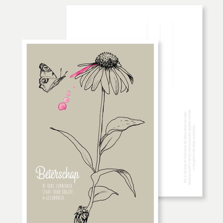 Veer&Moon - Wholesale Everyday Greeting Card - Ansichtkaart Beterschap