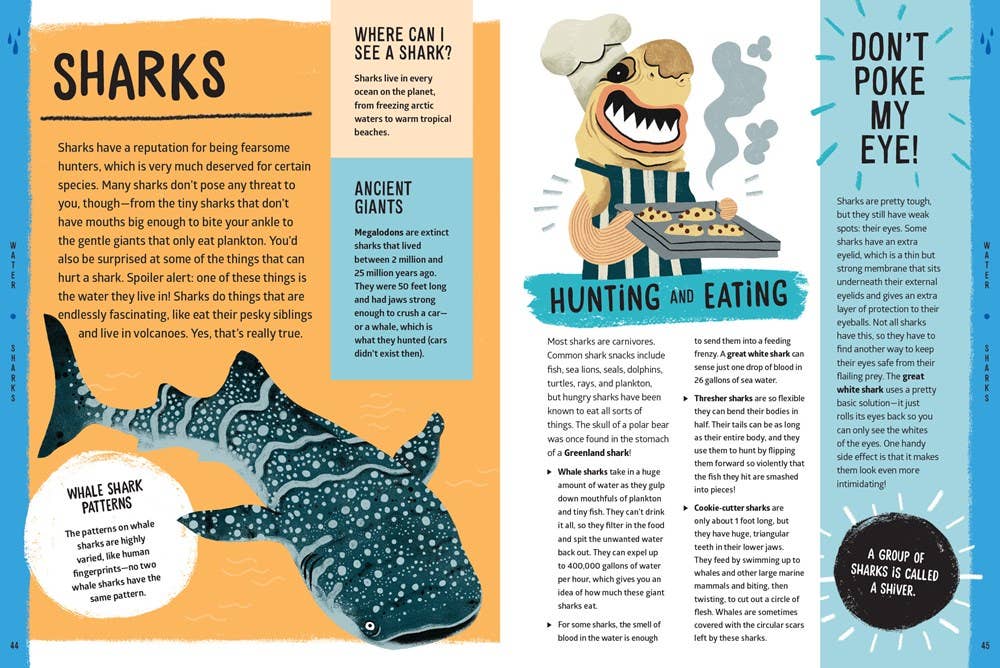 W. W. Norton - Wholesale Nature & Outdoors - Weird, Wild, Amazing! Water8