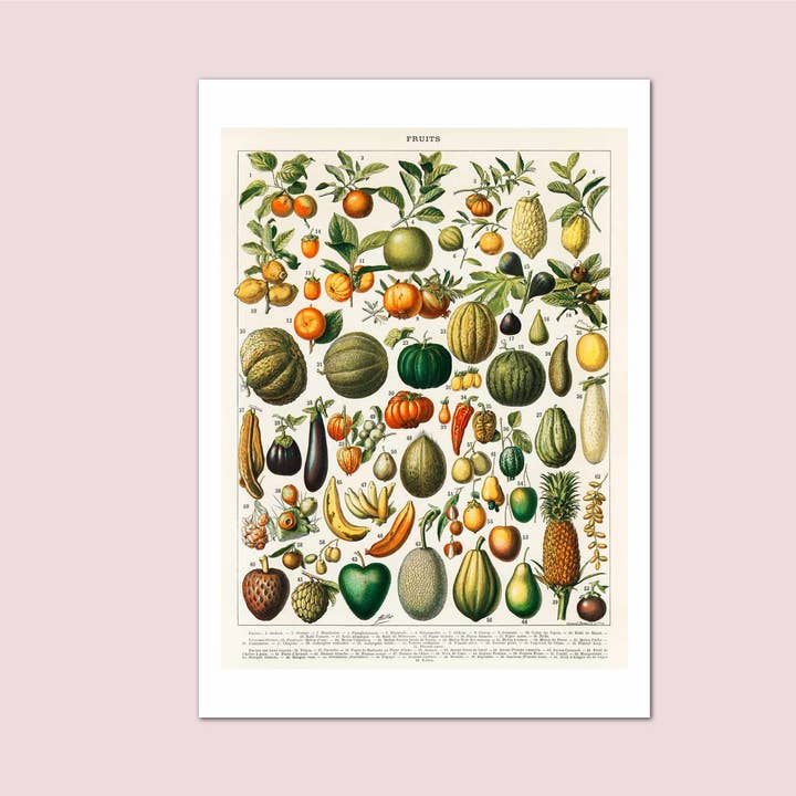 Holland Road Prints – wholesale Art print – Fruits Millot Vintage Print0