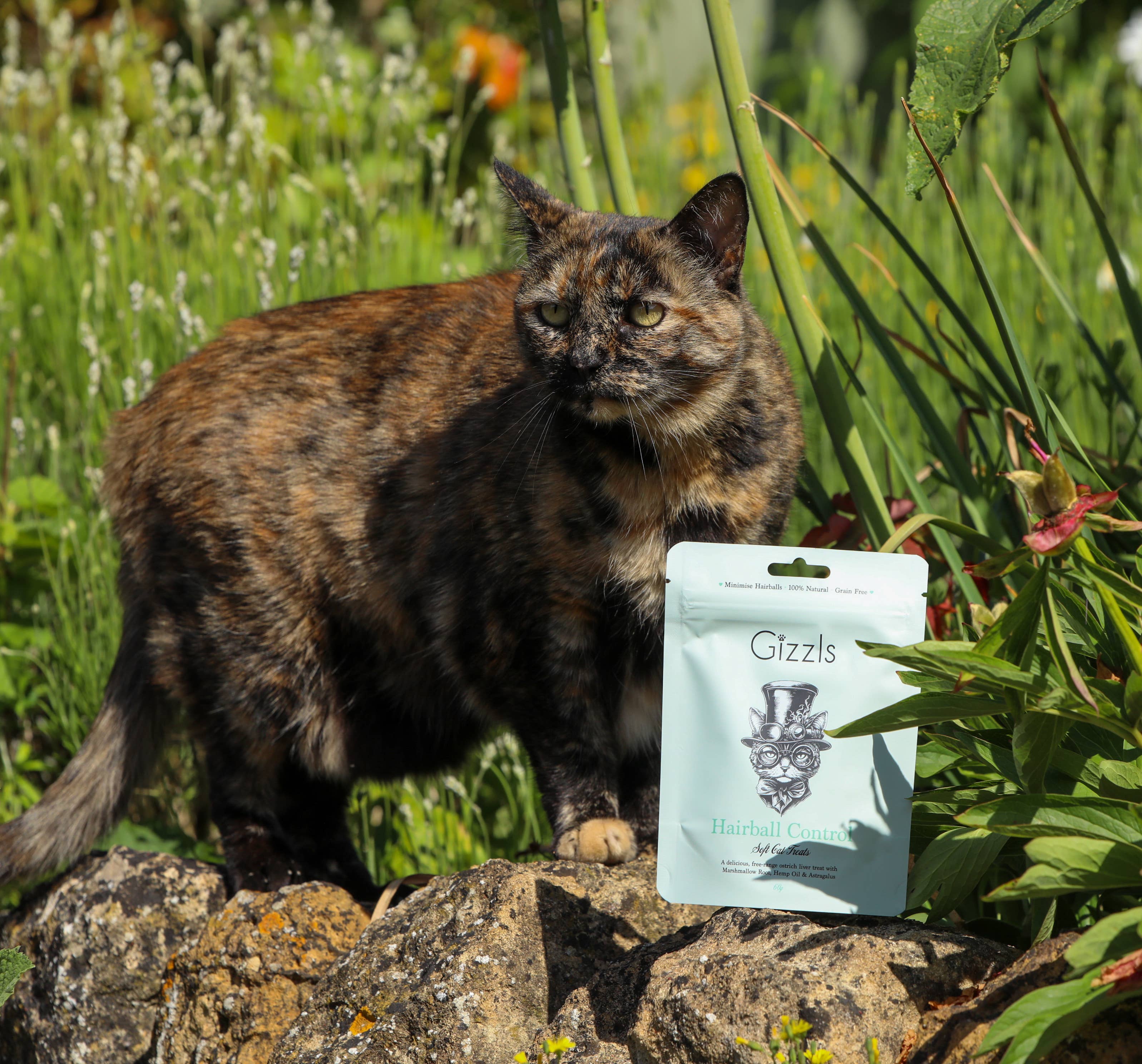 Gizzls – wholesale Pet treats – Cat – Hairball Control Soft Cat Treats2