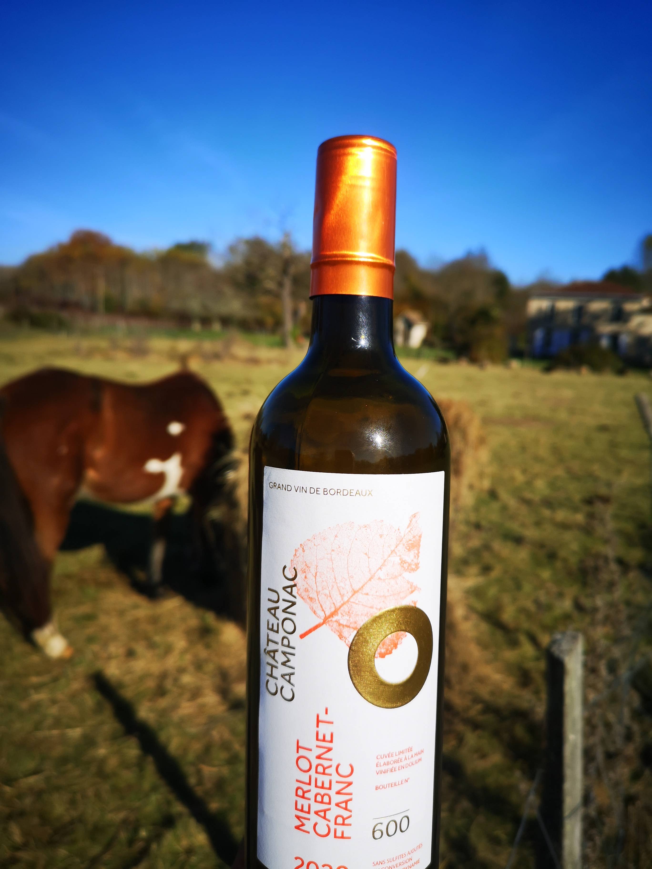 Château Camponac - Vente Vin rouge - Chateau Camponac Merlot/Cabernet Franc2