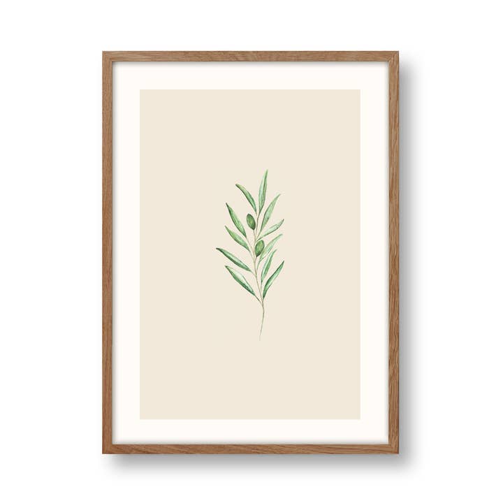 A3 Impressão artística | Oliva por atacado de SANS.design