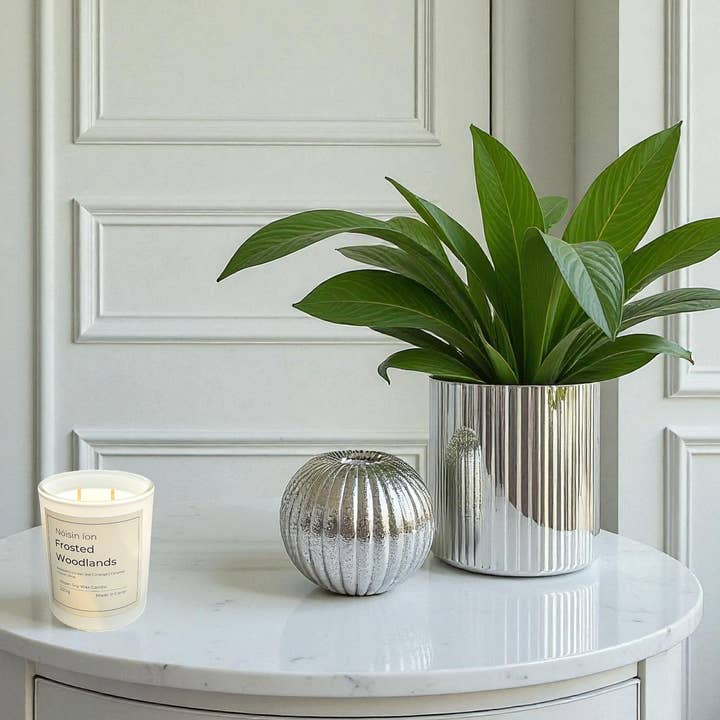 Frosted Woodlands for wholesale by Nóisin íon