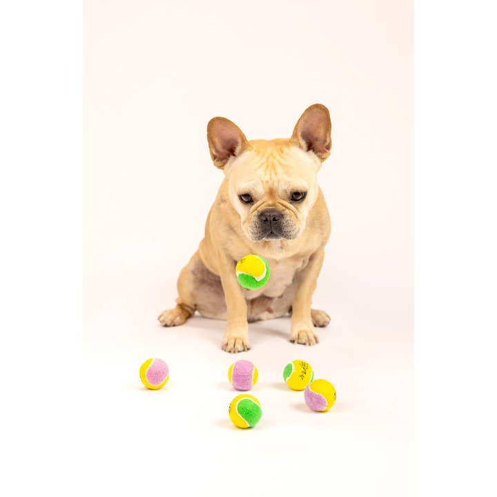 Midlee Designs - Wholesale Pet Fetch Ball - Dog - Midlee Yellow/Green Mini Tennis Balls Set of 12
