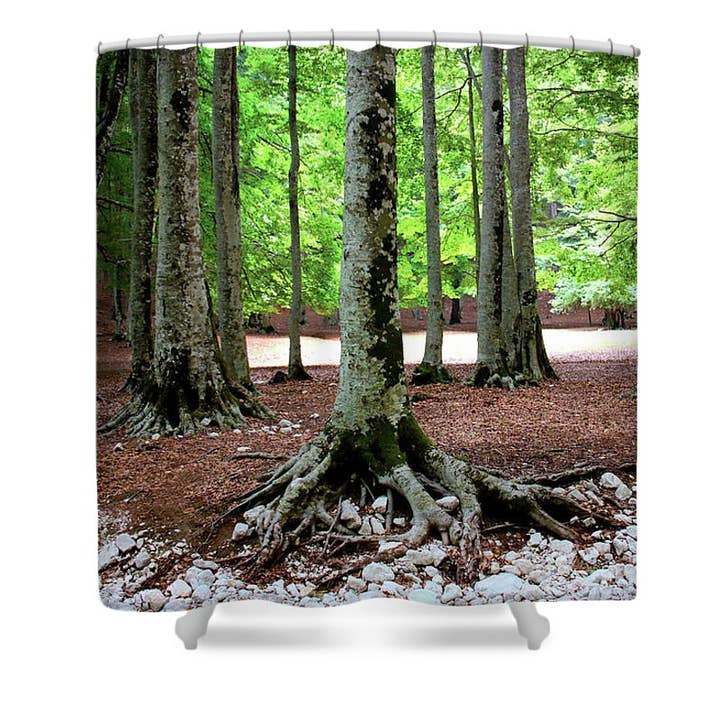 THE LIVE WOOD'S TREES DUSCHVORHANG für den Großhandel von sorayadapuzzostore