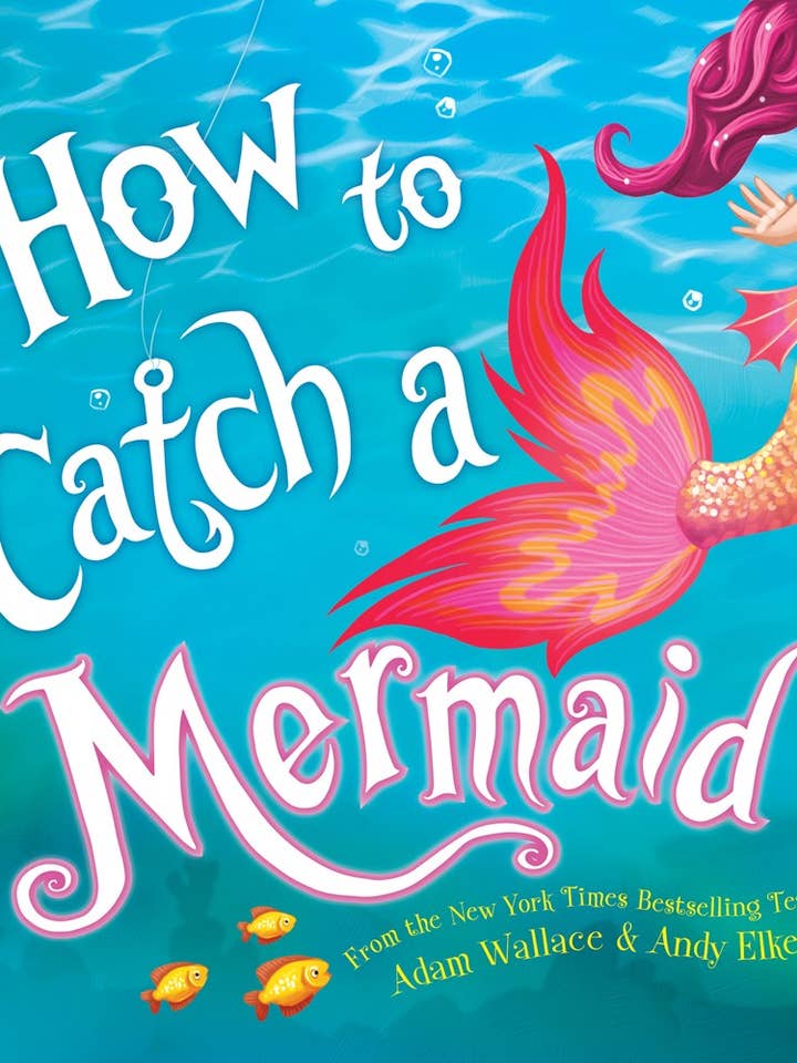 How to Catch a Mermaid for wholesale by Sourcebooks