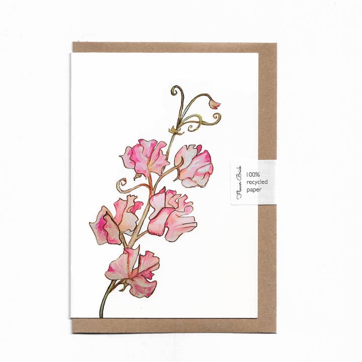 Cartão de Felicitações "Ervilha-de-cheiro" A6 100% Reciclado por atacado de Flower Brick