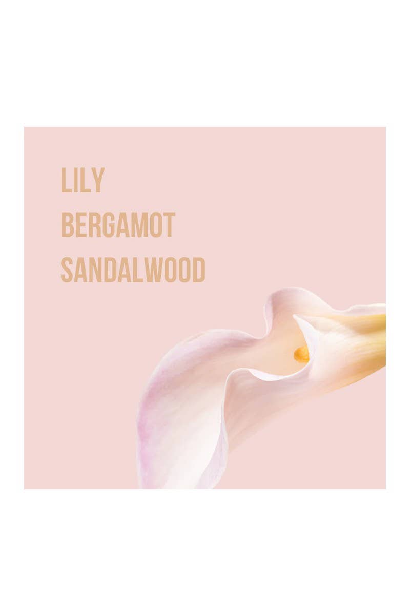 PINEAPPLE Beauty – wholesale Body cream/lotion – Beauty Creations BLB-08 All Mine Body Lotion - 12 pcs1