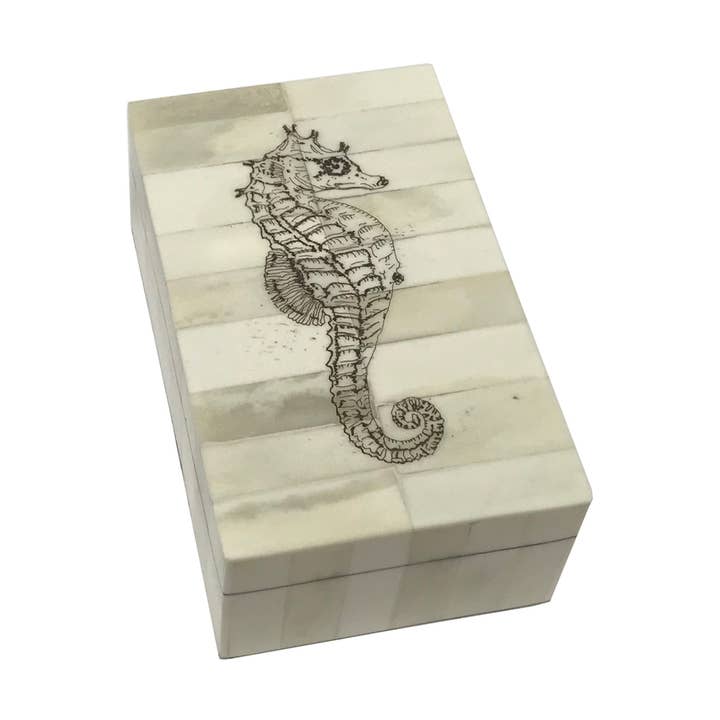 Scatola in osso scrimshaw vintage incisa con cavalluccio marino, 5-1/4” per la vendita all'ingrosso da parte di Madison Bay Co. - Historical Home Decor Reproductions