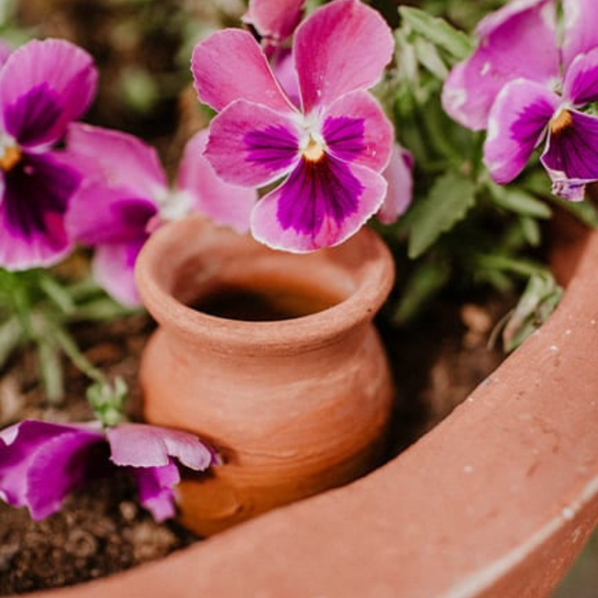 Poterie lutton – Engroshandel Plantekrukke – Sæt med 36 plante-coner3
