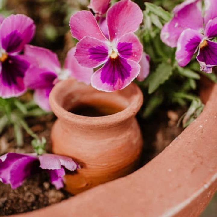 Poterie lutton - Vendita all'ingrosso Vasi per piante - Cesto di 36 coni da piantare3
