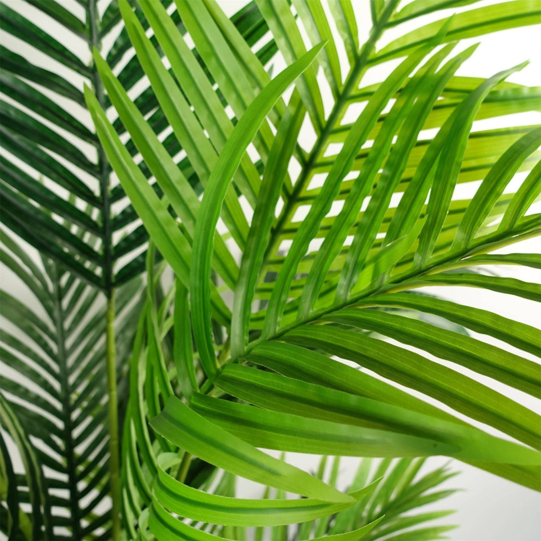 Leaf Design UK LTD – Engroshandel Kunstig plante – Kunstig palmetræ ekstra stor - KÆMPE 180cm 6FT1