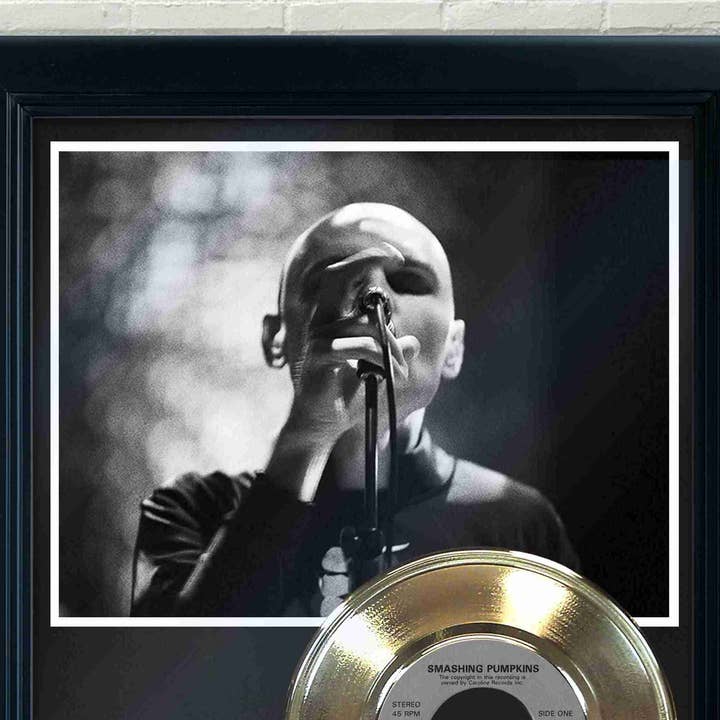 Gold Record Outlet – wholesale Wall Accent – Smashing Pumpkins "Rhinoceros" Framed Record Display2