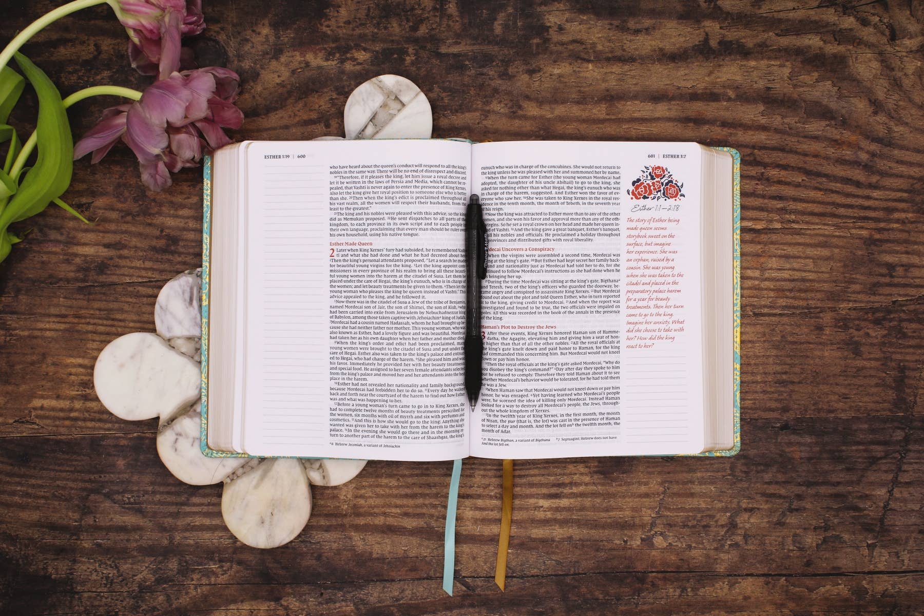 HarperCollins Christian Publishing - Wholesale Journal/Diary - NIV Journal The Word Bible For Women Leathersoft Teal/Gold4