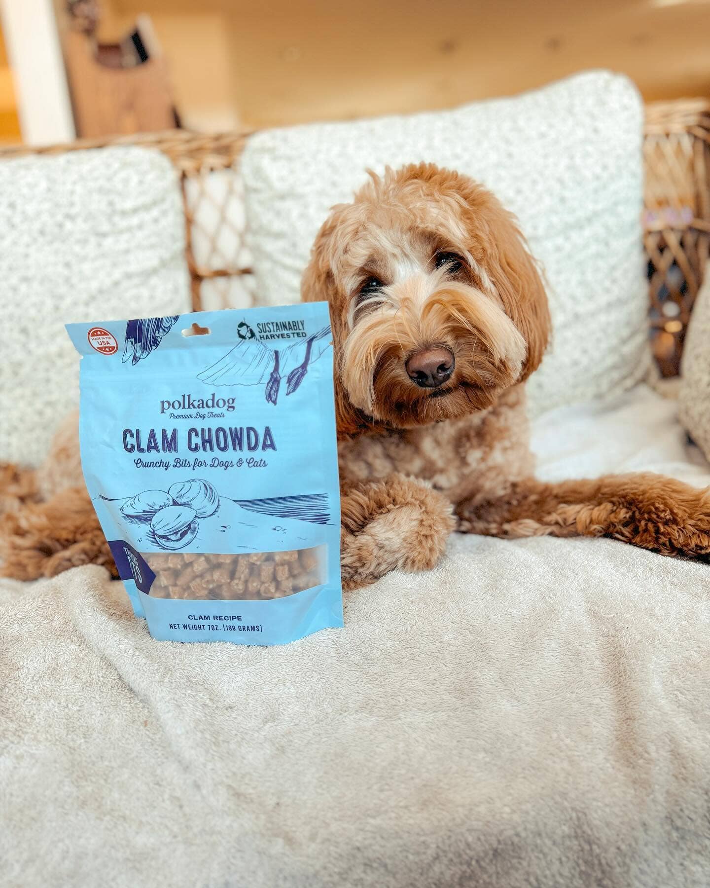 Pet Palette Distribution - Wholesale Pet Treats - Dog - Polkadog Clam Chowda Training Bits Crunchy Dog & Cat Treats4