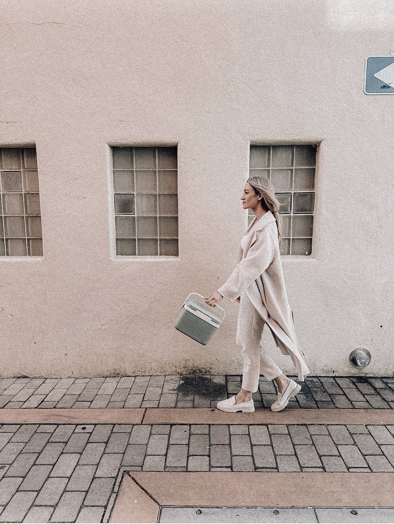 Sauge Mini glacière dure Sage en vente sur Faire3