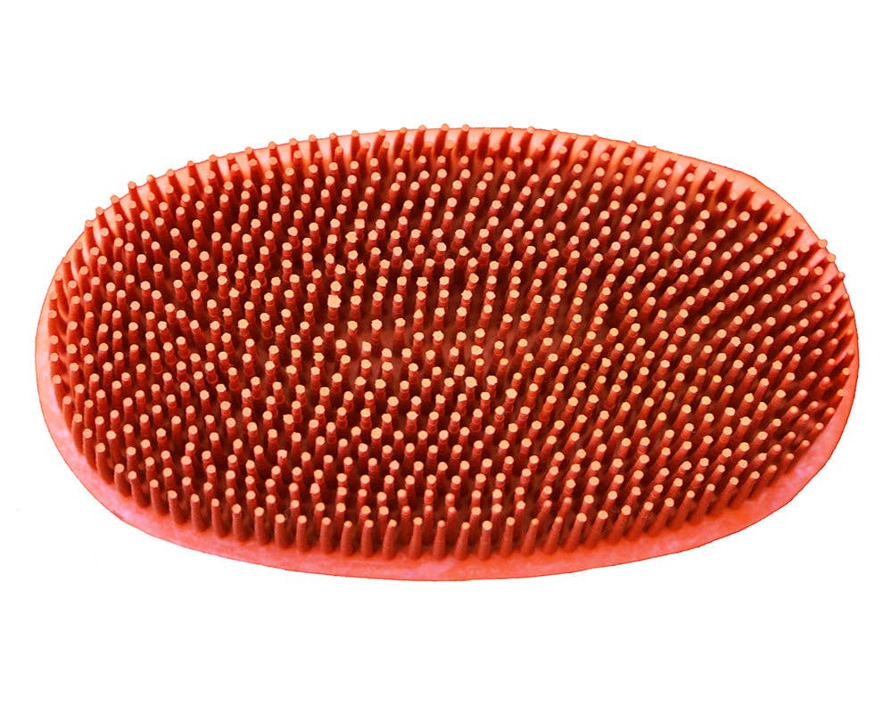 Grewal Equestrian – Großhandel Conditioner/Fellpflege für Pferde – Ovale Gesichtsbürste zum Pflegen und Baden von Haustieren1