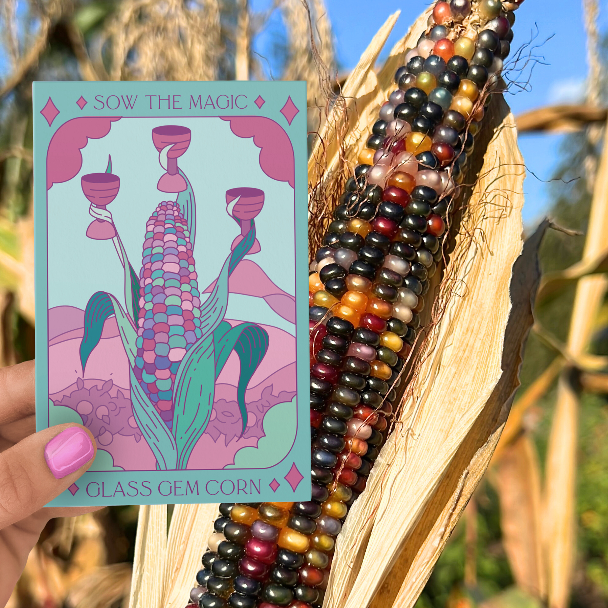 Sow the Magic - Wholesale Plant Seeds - Vegetable Bundle Seed Collection3