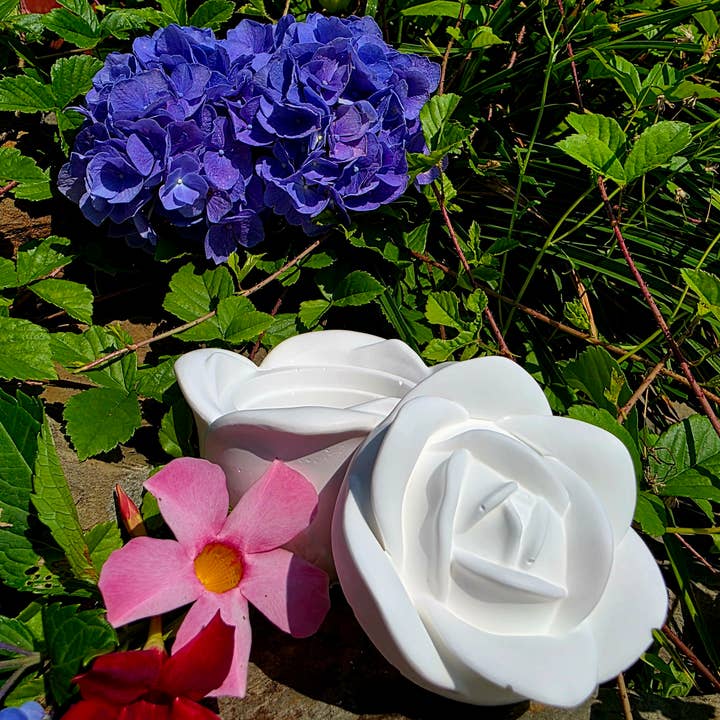 🌹 Heart of the Rose for wholesale by Divine Angelic Guidance - Michelle Irene