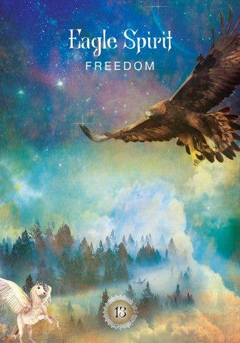 Cardshouse - Wholesale Tarot Cards - Sacred Forest Oracle Cards Hay House3