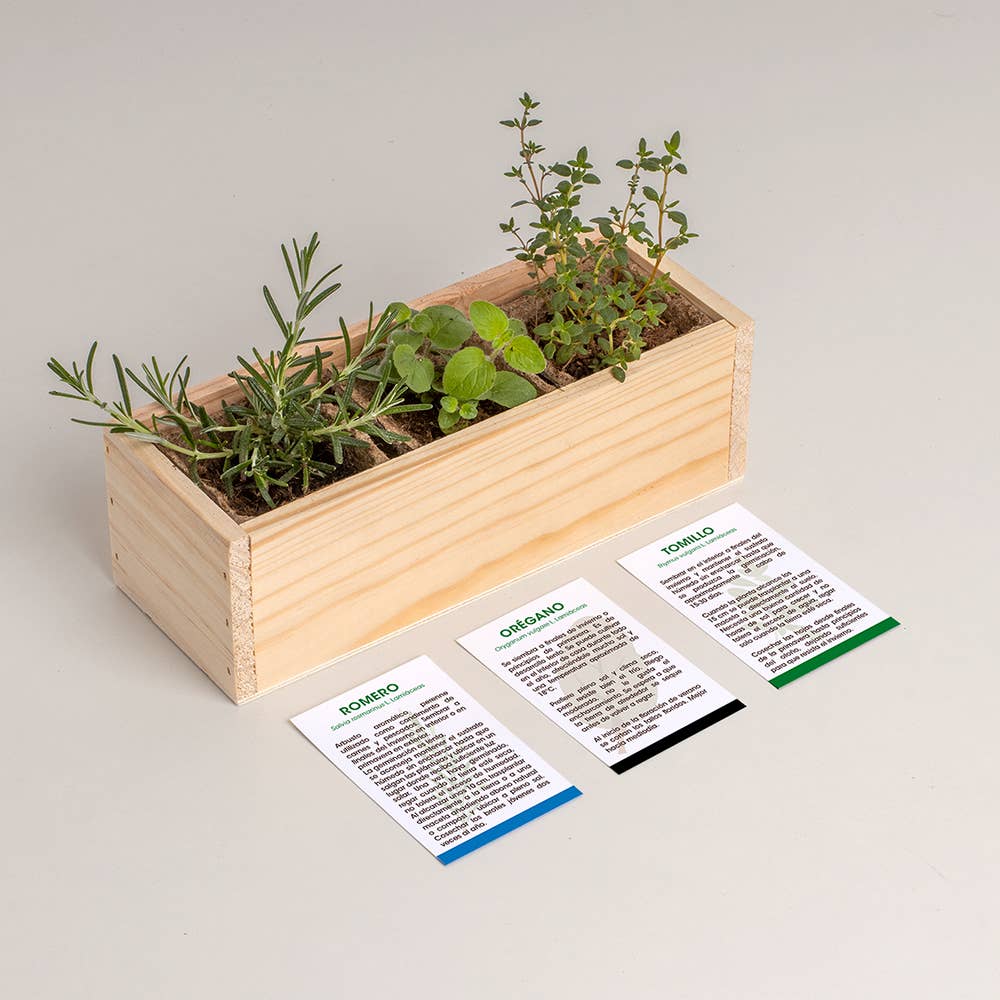 Resetea - Wholesale Plant Seeds - Mini Mediterranean Garden🌿1