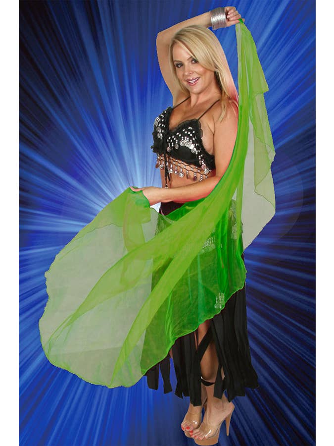Western Fashion - Wholesale Costume - Women's - Belly Dancing Veil3