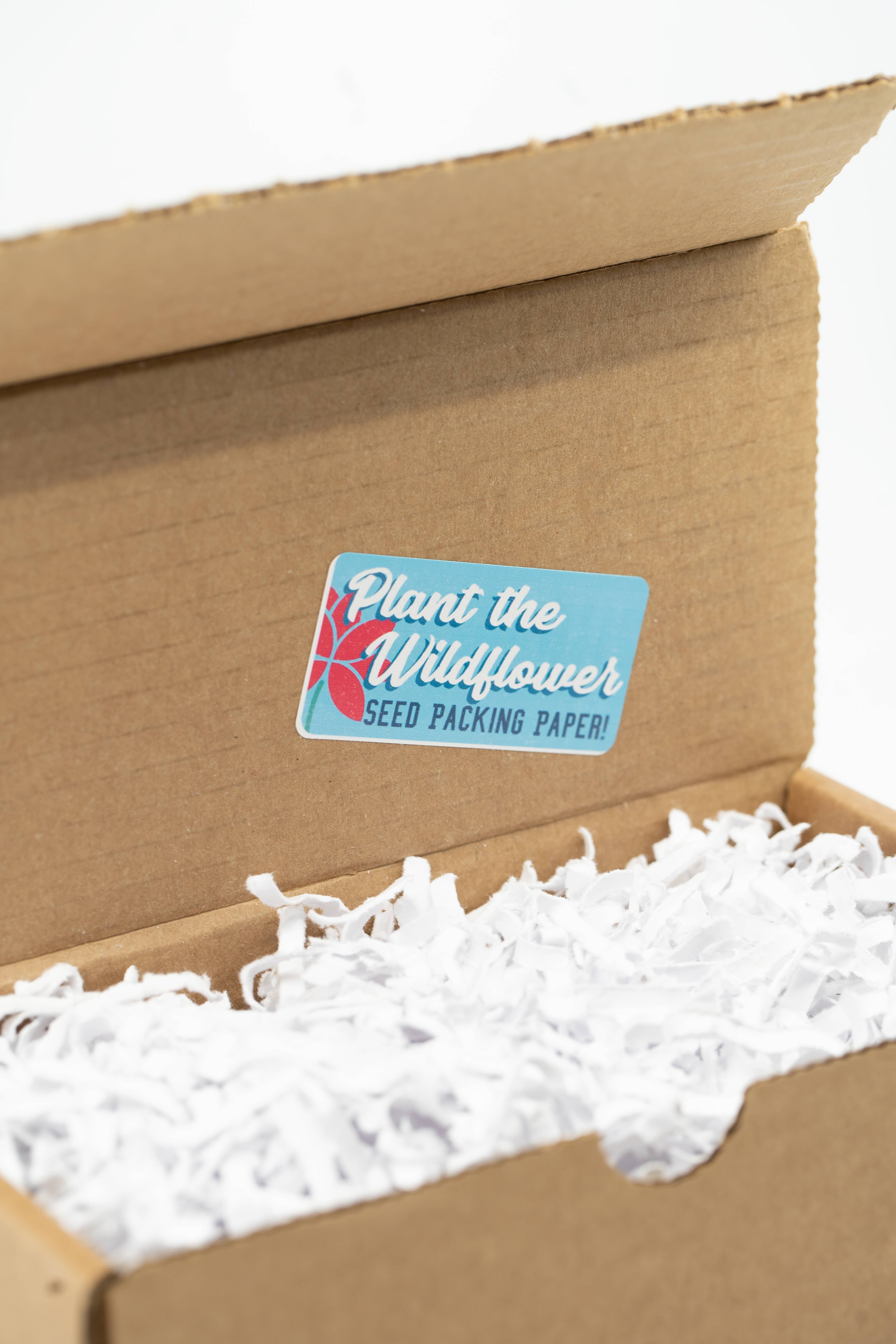 Earthy Good / Kiss Naturals - Wholesale Doe-het-zelf-knutselset - Earthy Good Doe-het-zelf Badbom Kit (Volwassenen) | Verpakkingsdoos van 6 Kits7