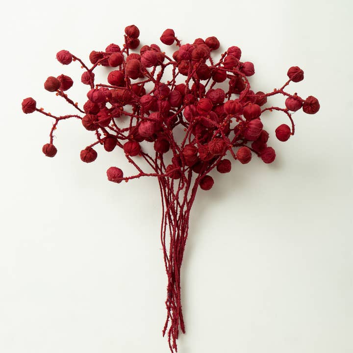 Bouquet rouge pour la vente par Maison Mieko