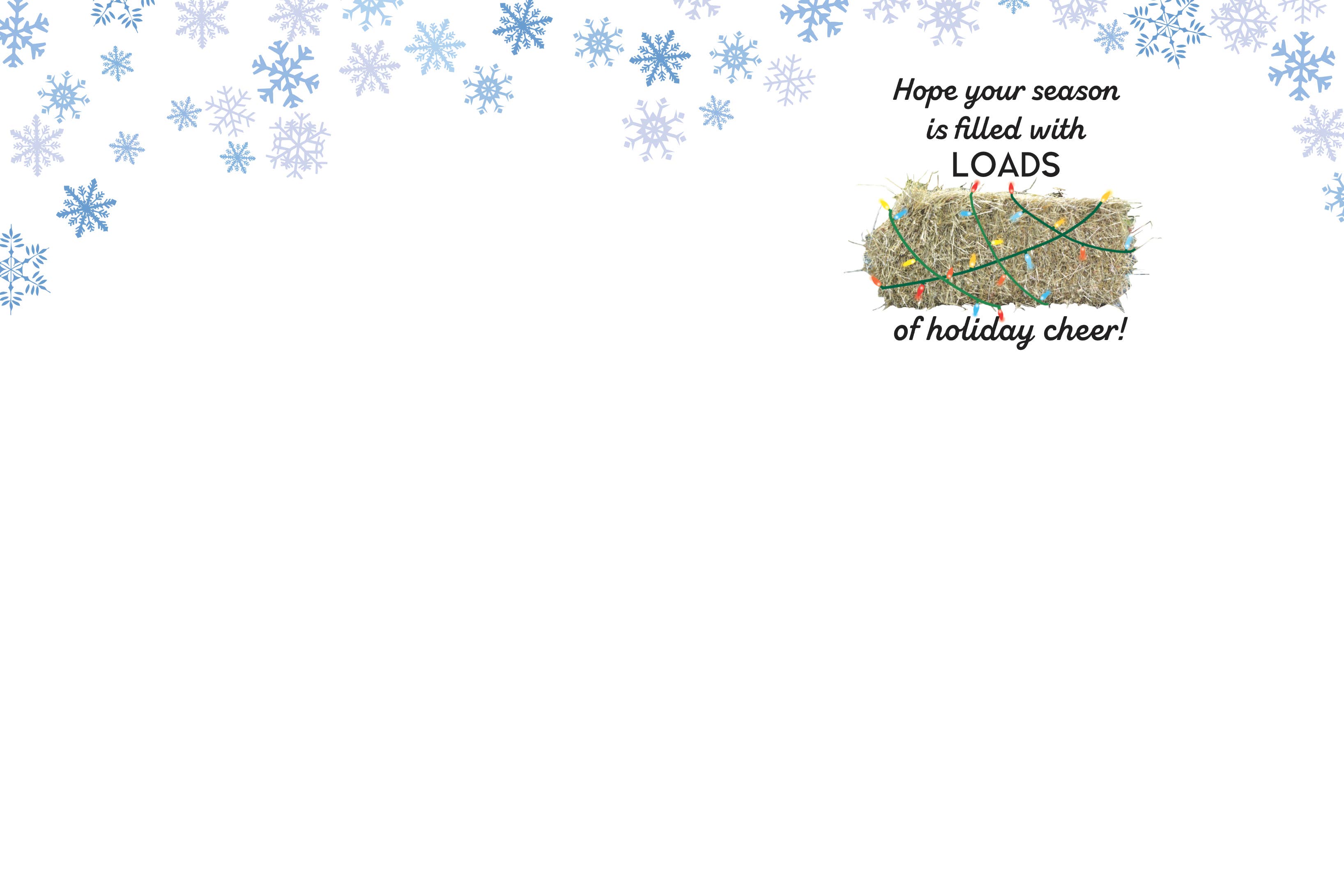 Horse Hollow Press | Pretty Snarky Equestrian Cards|Stickers - Wholesale Christmas Card - Horse Christmas Card / Truck Snow / Holiday Greeting Card
7