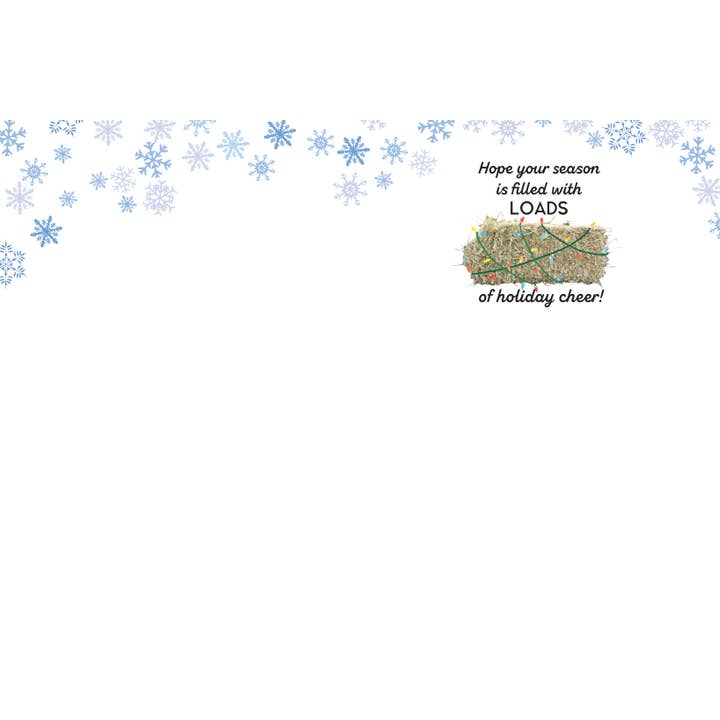 Horse Hollow Press | Pretty Snarky Equestrian Cards|Stickers - Wholesale Christmas Card - Horse Christmas Card / Truck Snow / Holiday Greeting Card
7