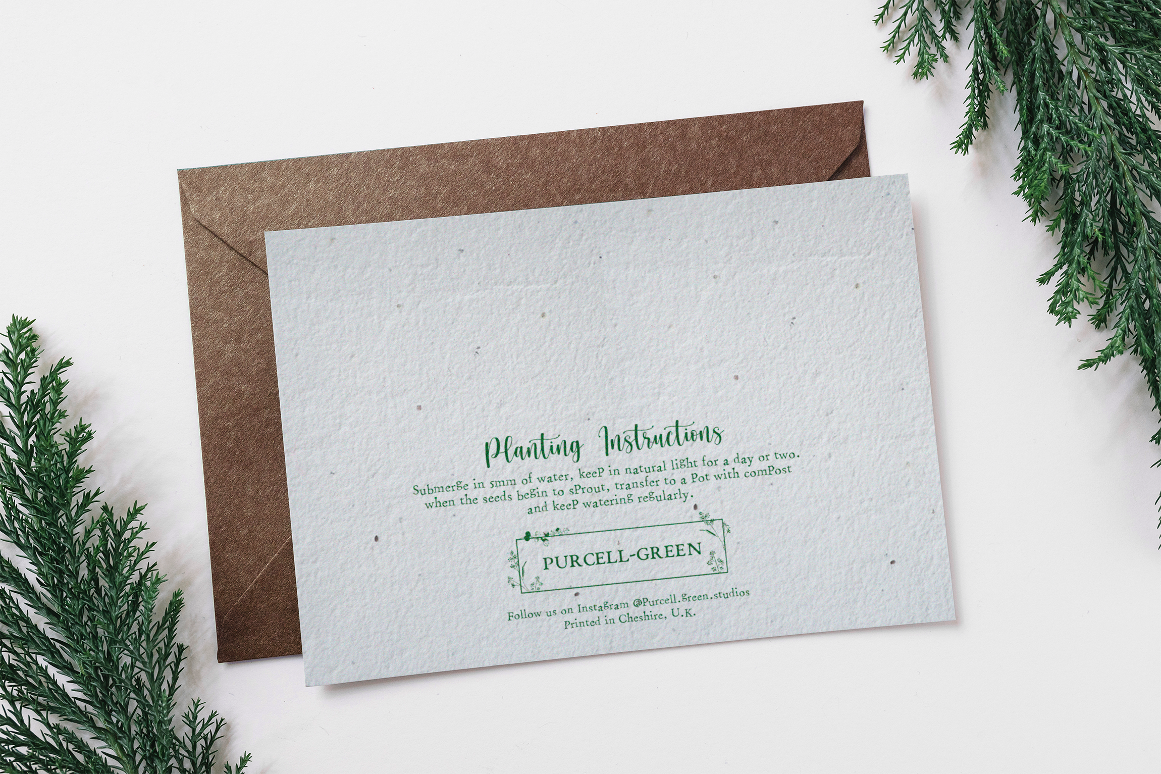 Purcell-Green Studios – wholesale Christmas card – Illustrated Nutcracker Plantable Eco Christmas Card – 1