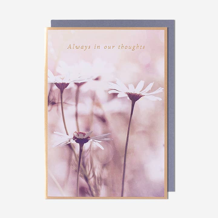 Always In Our Thoughts Camomile Thinking Of You Card for wholesale by Pigment Productions Ltd