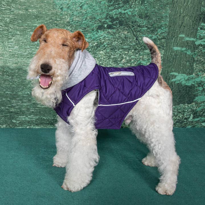 Doggie Design – wholesale Pet hoodie – Dog – Weekender Dog Sweatshirt Hoodie - Purple4