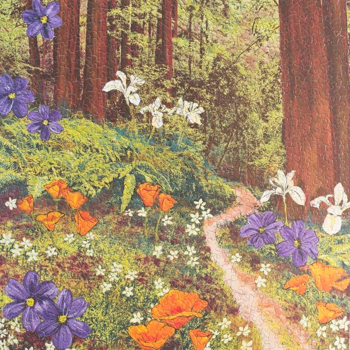 Oakland Puzzle Company - Wholesale Puzzle - Adult - Golden Beams in Redwoods 1000-piece Jigsaw Puzzle0