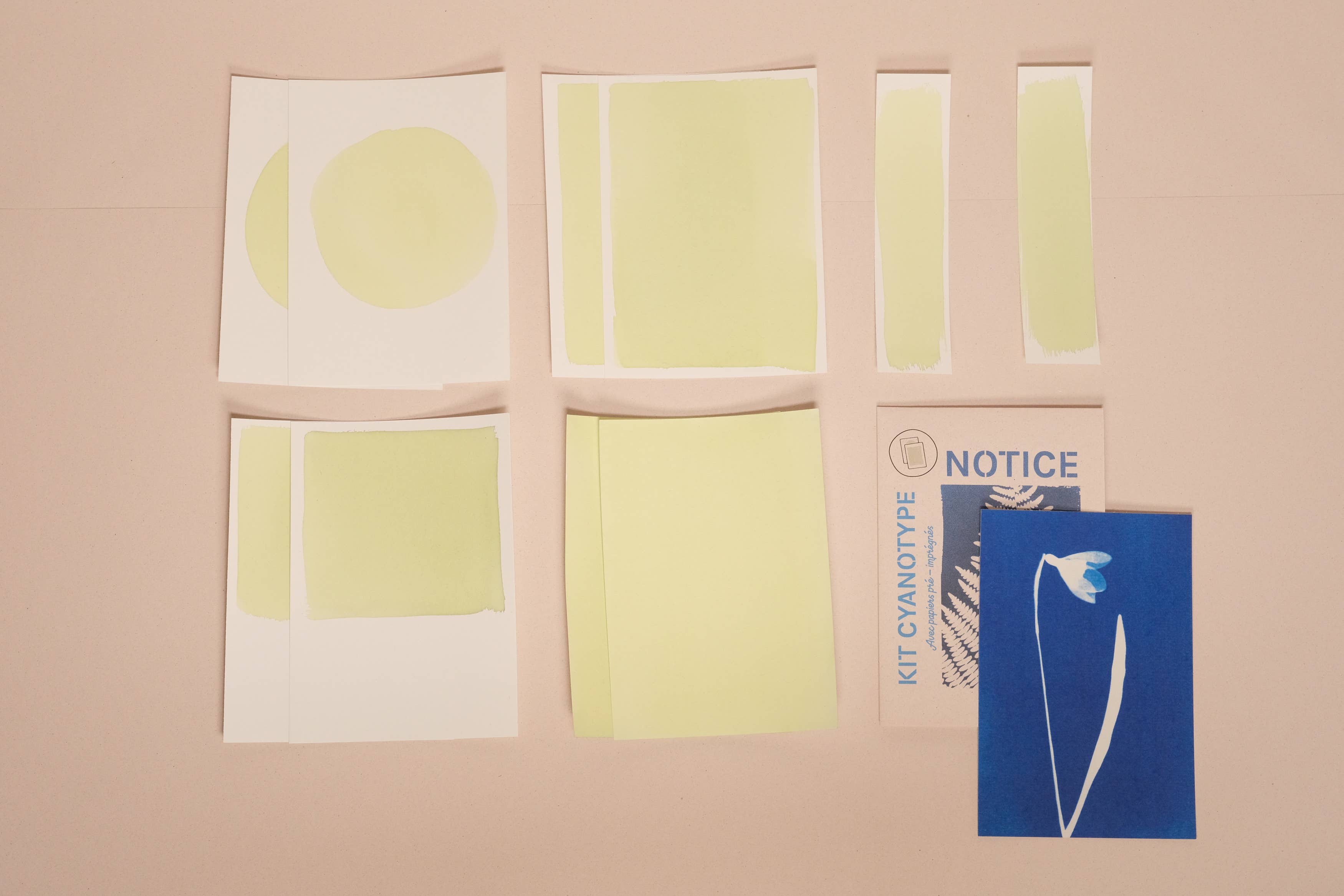 L'Atelier des Epatants - Venta al por mayor Kit de manualidades - Mini kit de cianotipo6