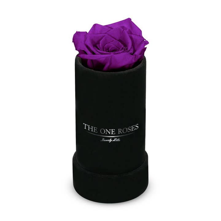 Singolo in pelle scamosciata | The One Black Box per la vendita all'ingrosso da parte di The One Roses