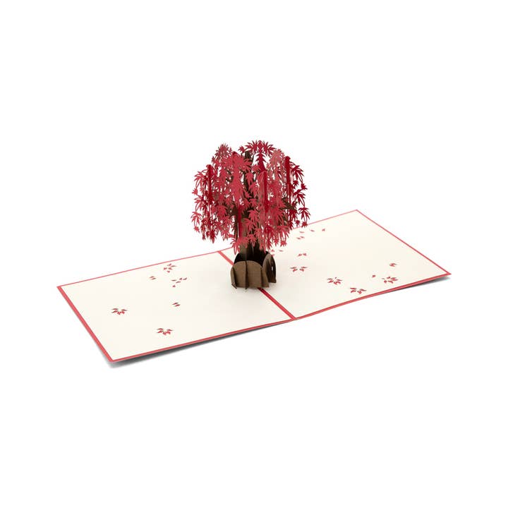 Maple Tree - Carte Abra 3D Pop Up pour la vente par Abra Cards