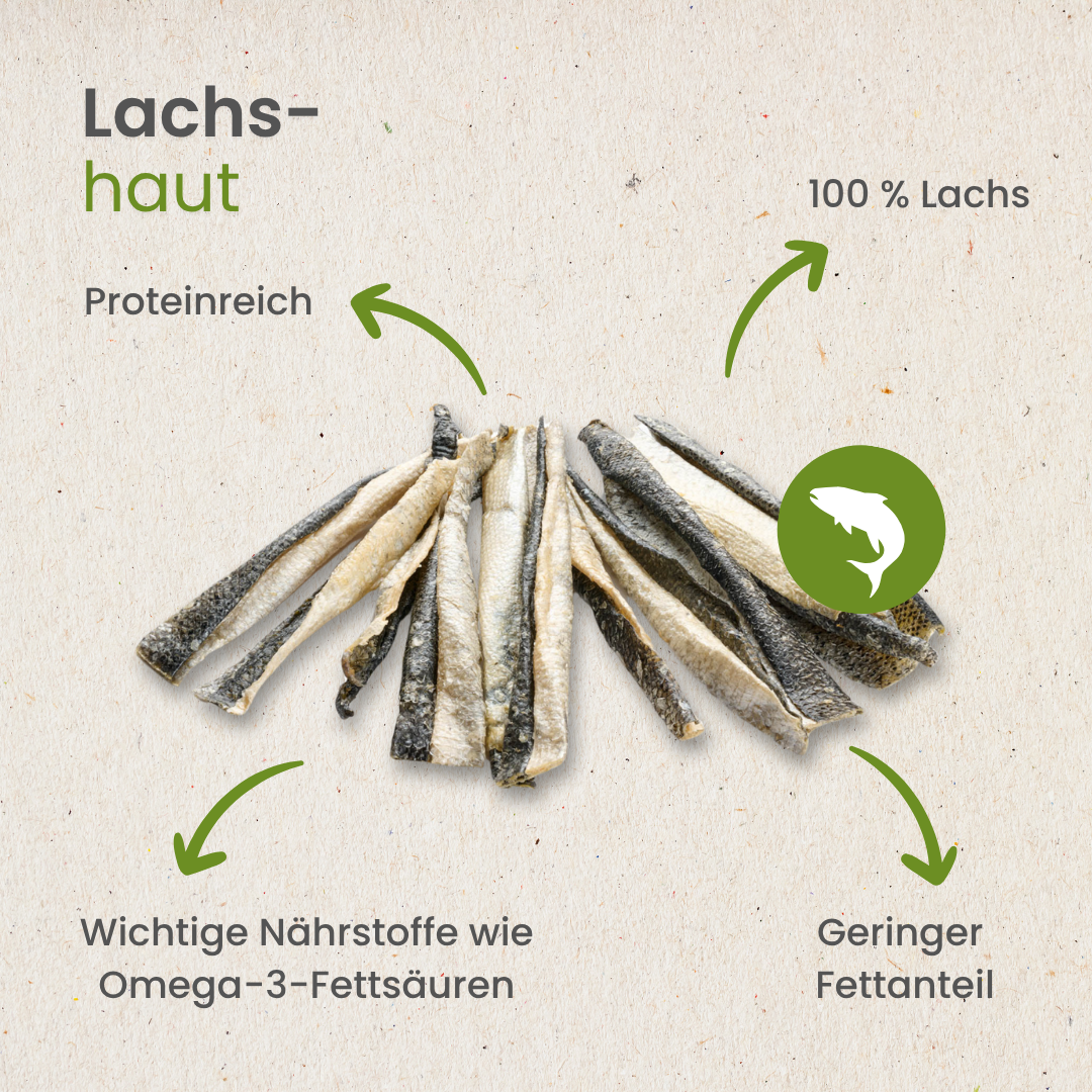 Kauartikel.com GmbH – wholesale Godis - Hund – Laxskinn naturligt tuggben för hundar3