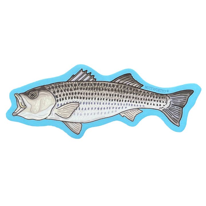 Striped Bass Sticker for wholesale by Noteworthy Paper & Press