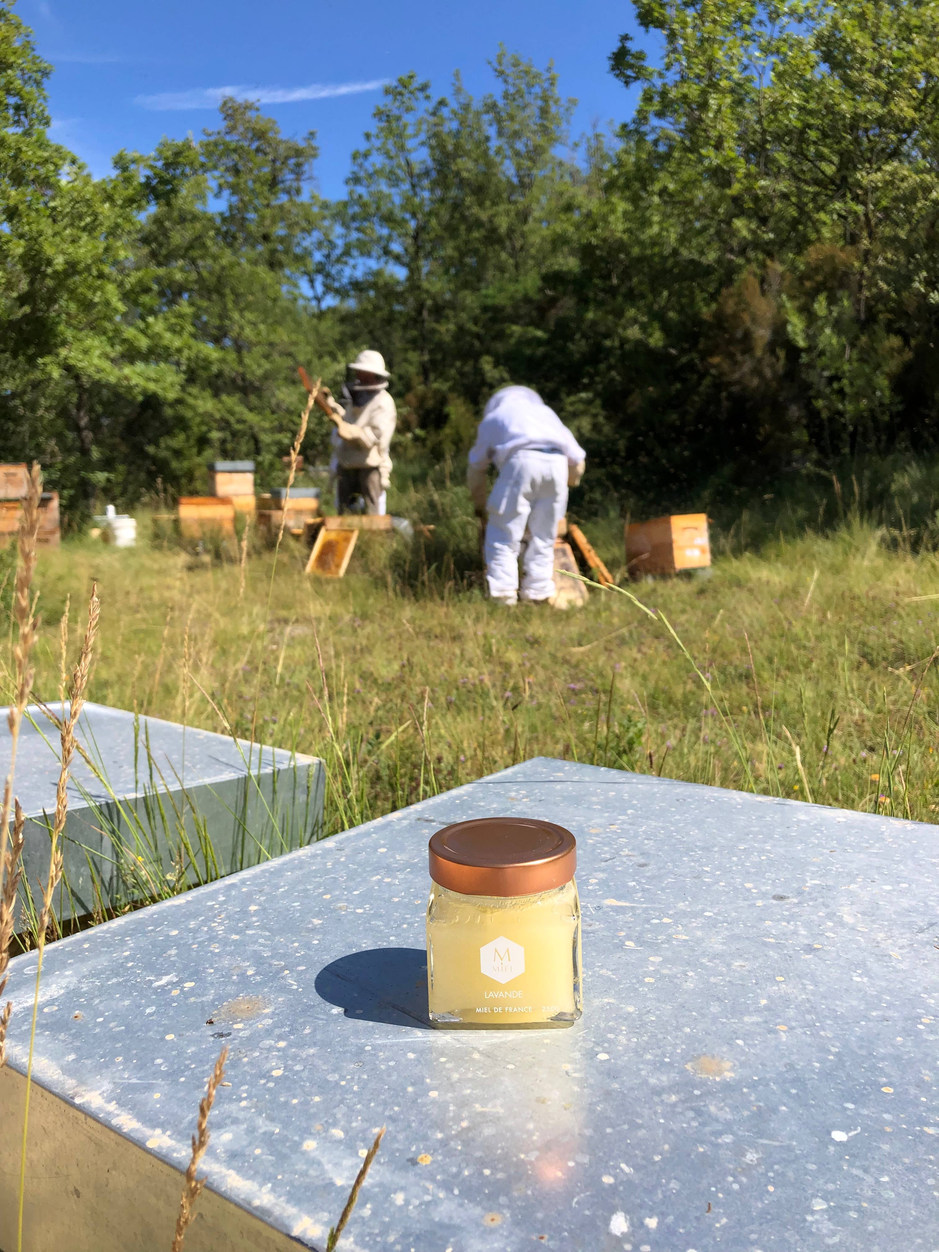 La Manufacture du Miel - Wholesale Honey - Lavender honey - 250g4