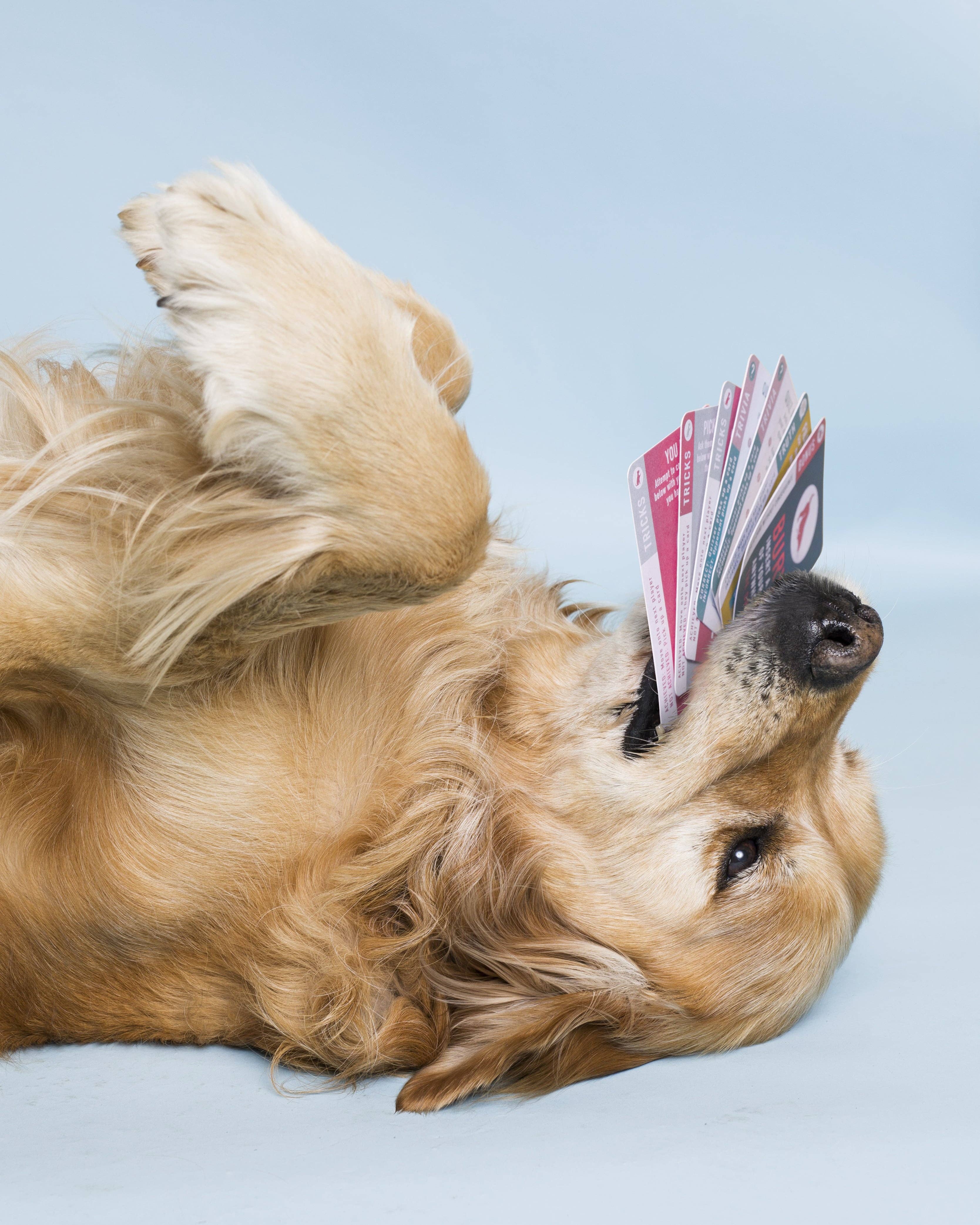 Goodchap's – wholesale Card game – Tricks & Trivia | Dog Card Game | Puppy Training Quiz12