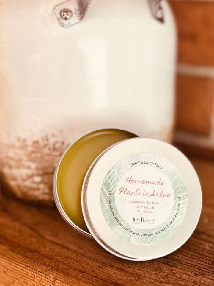 Ekologisk-Plantainsalva för wholesale av justbbeautyskin