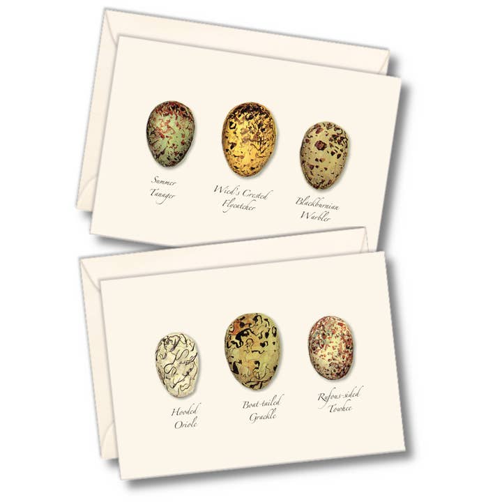 Bird Egg Assortment II for wholesale by Earth Sky + Water