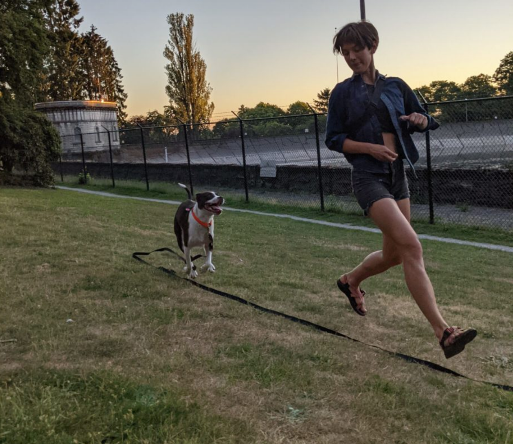 Hambos Pups - Wholesale Pet Leash - Dog - Long Lead2